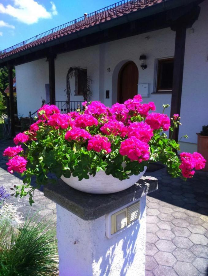 Haus Saentisblick Eriskirch Exterior foto